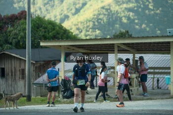 Runner Photo 1239347