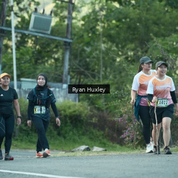 Runner Photo 1239398
