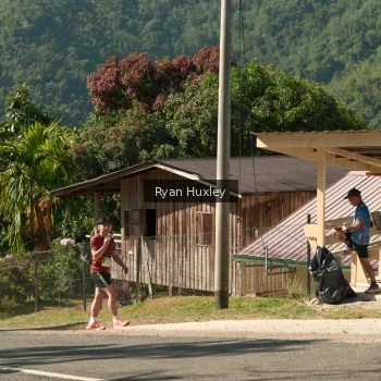 Runner Photo 1239801