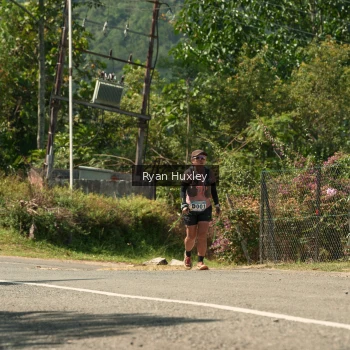 Runner Photo 1240199