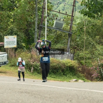 Runner Photo 1240329