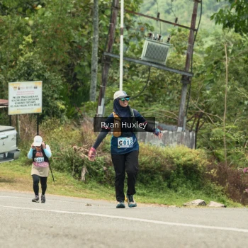 Runner Photo 1240331