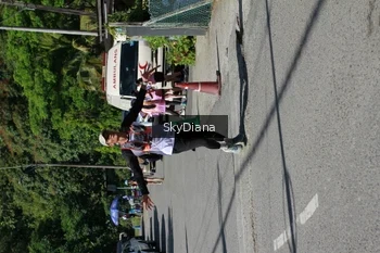Runner Photo 1240355