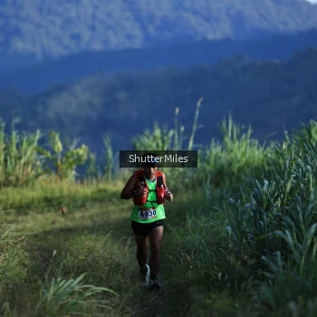 Runner Photo 1240396
