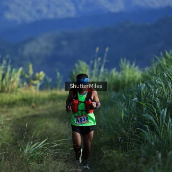 Runner Photo 1240397