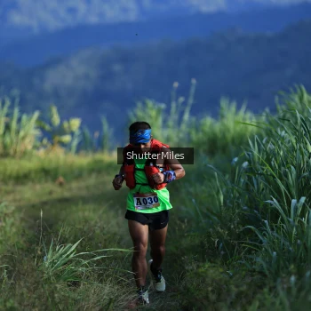 Runner Photo 1240398
