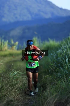Runner Photo 1240399