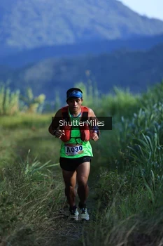 Runner Photo 1240400
