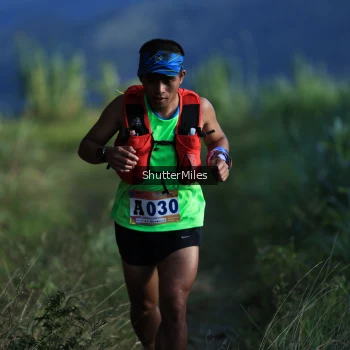 Runner Photo 1240403