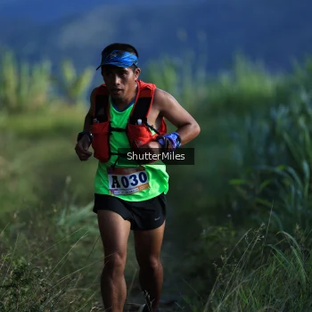 Runner Photo 1240404