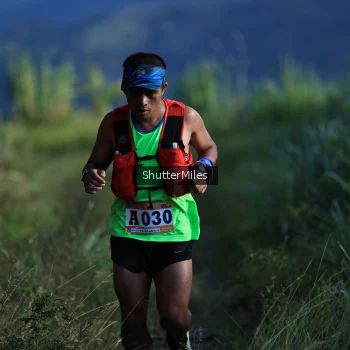 Runner Photo 1240406