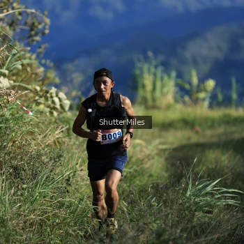 Runner Photo 1240413