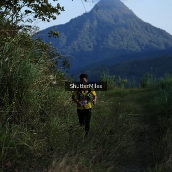 Runner Photo 1240481