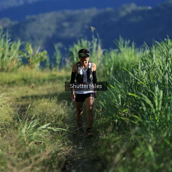 Runner Photo 1240554