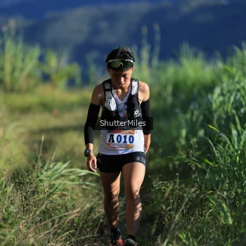 Runner Photo 1240558