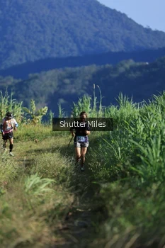 Runner Photo 1240585