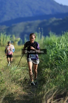 Runner Photo 1240590