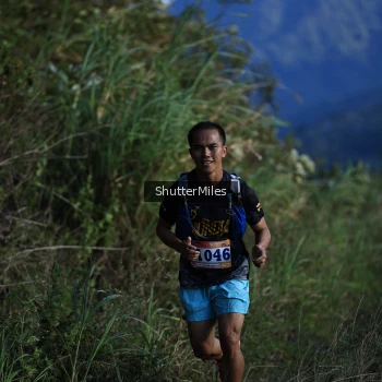 Runner Photo 1240616