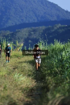 Runner Photo 1240626