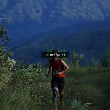 Runner Photo 1240646
