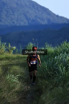 Runner Photo 1240835