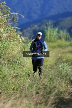 Runner Photo 1240848