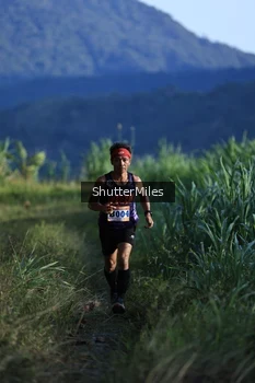 Runner Photo 1240851