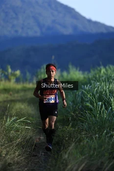 Runner Photo 1240864
