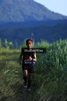 Runner Photo 1240873