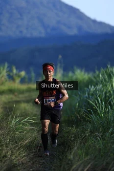 Runner Photo 1240881