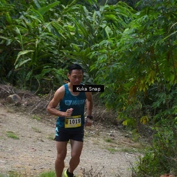 Runner Photo 1241065