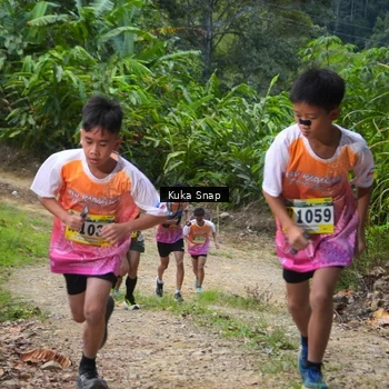 Runner Photo 1241078