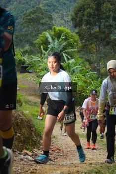 Runner Photo 1241085