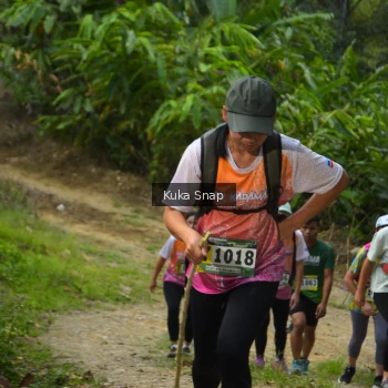 Runner Photo 1241355