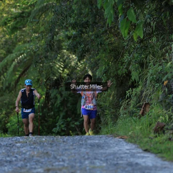 Runner Photo 1241365
