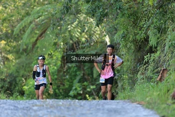 Runner Photo 1241393