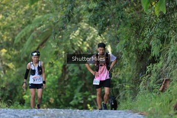 Runner Photo 1241395