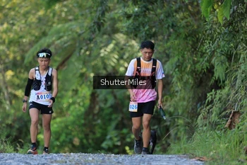 Runner Photo 1241399