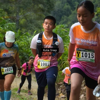 Runner Photo 1241407