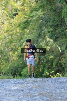 Runner Photo 1241445