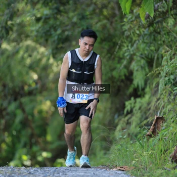 Runner Photo 1241629