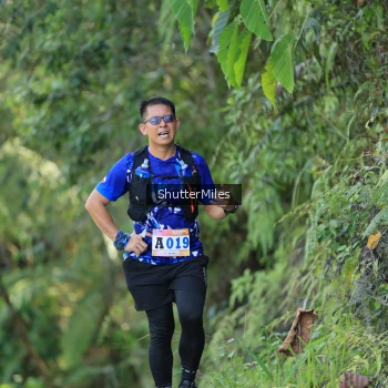 Runner Photo 1241787