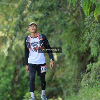 Runner Photo 1241799