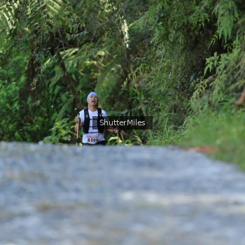 Runner Photo 1241828
