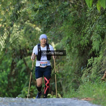 Runner Photo 1241830