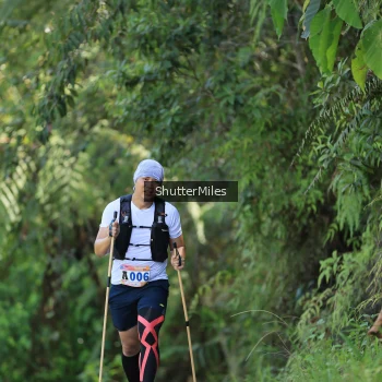 Runner Photo 1241831
