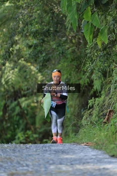 Runner Photo 1241841