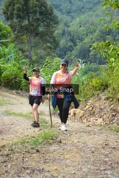 Runner Photo 1241918