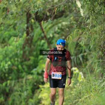 Runner Photo 1241989