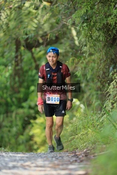 Runner Photo 1241993